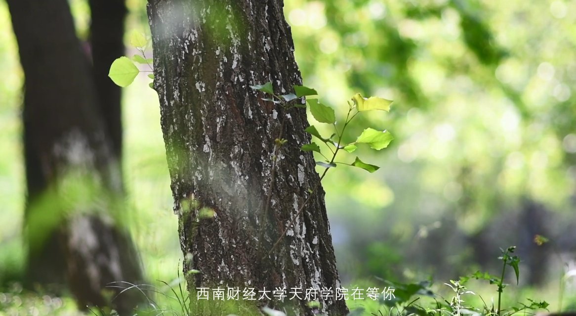 版权所有